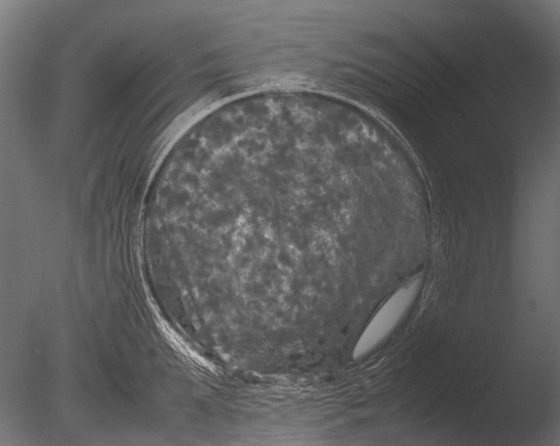 X0000085070903200703261228