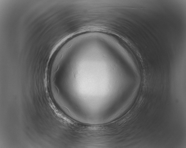 X0000085070904200703261228