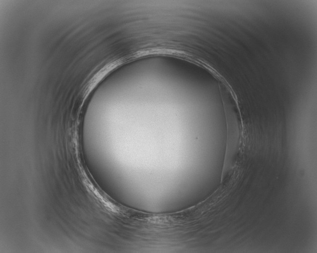 X0000085070906200703261228