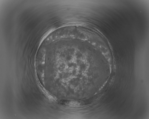 X0000085070907200703261228