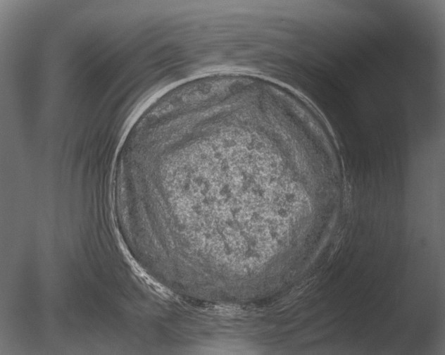 X0000085070911200703261228