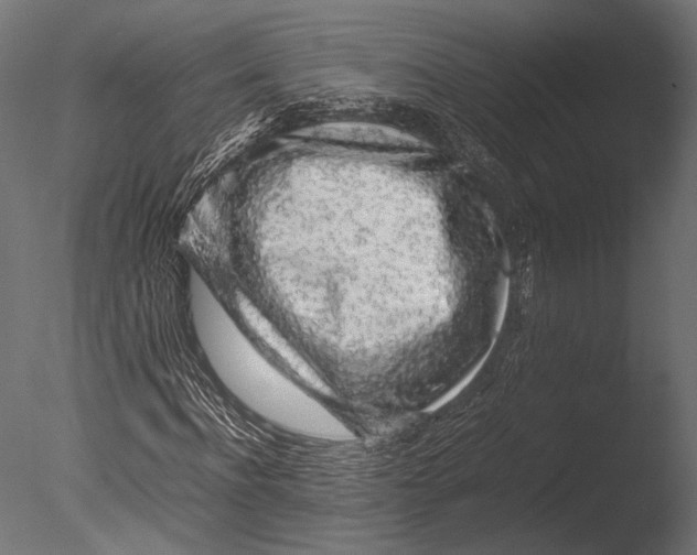 X0000085070916200703261227