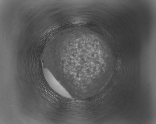 X0000085070917200703261227