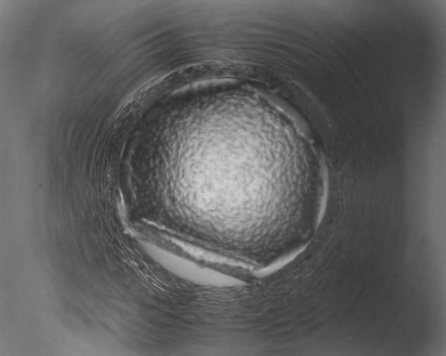 X0000085070919200703261227