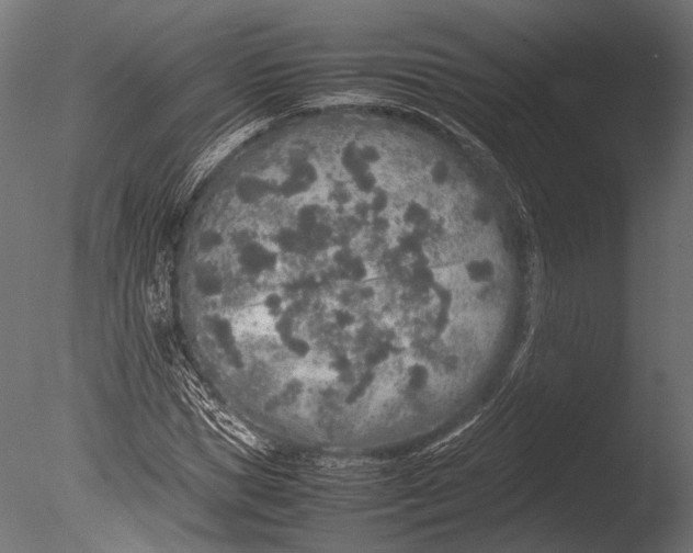 X0000085070921200703261227