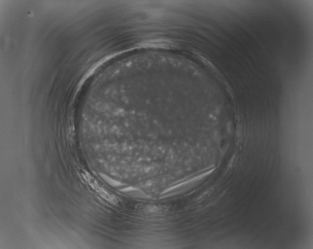 X0000085070923200703261227