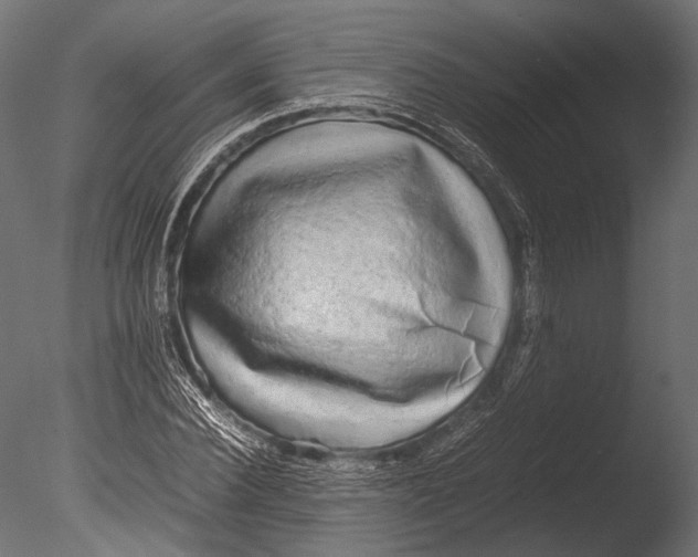 X0000085070924200703261227