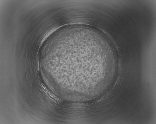 X0000085070925200703261227