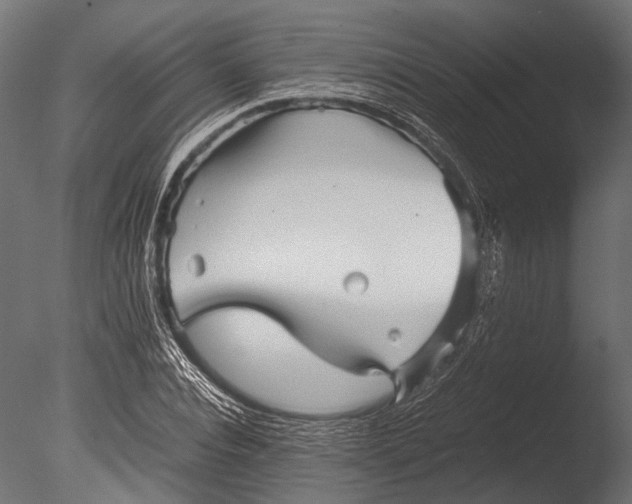 X0000085070928200703261227