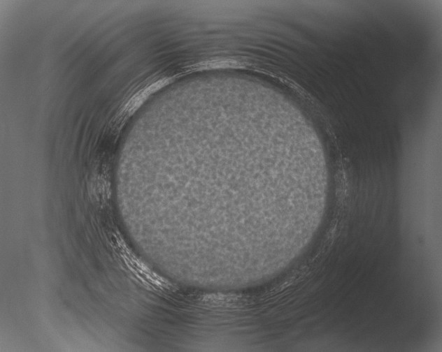 X0000085070929200703261227