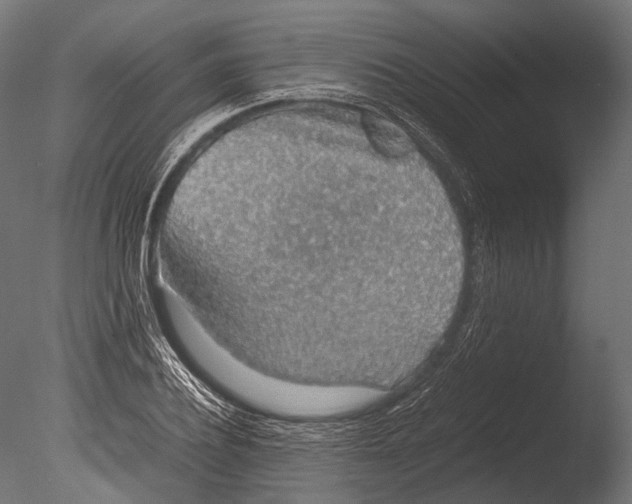 X0000085070932200703261227