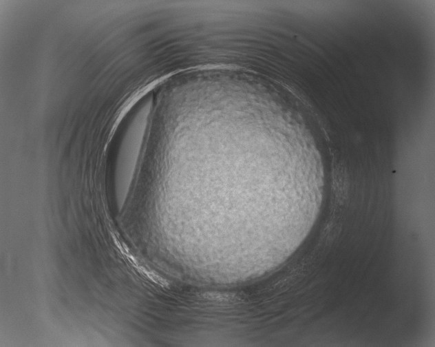 X0000085070933200703261227