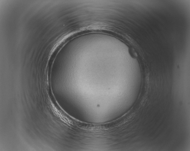 X0000085070934200703261227