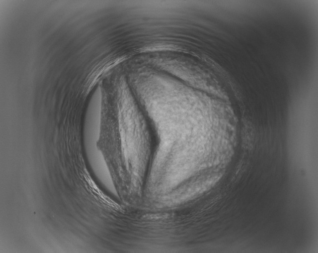 X0000085070937200703261228