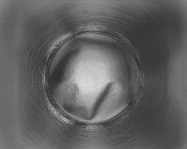 X0000085070938200703261228