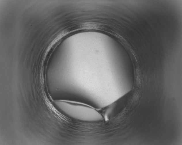 X0000085070939200703261228