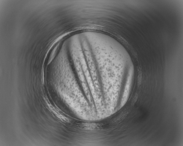 X0000085070940200703261228