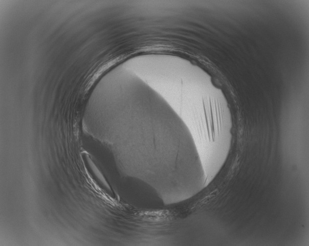 X0000085070945200703261228