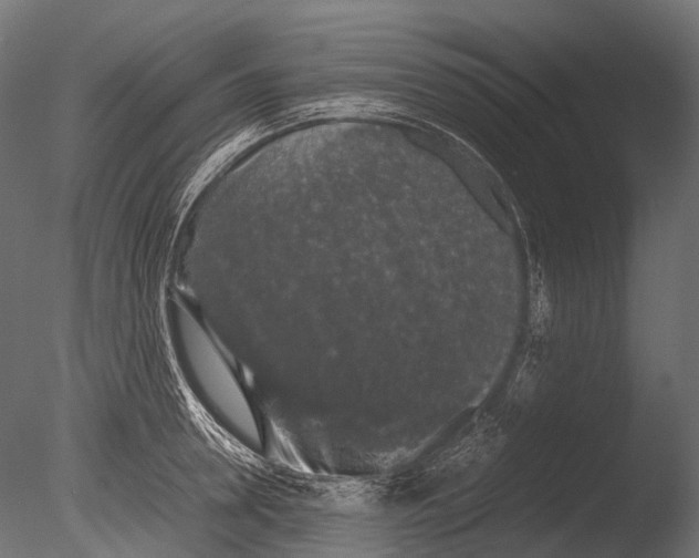 X0000085070946200703261228