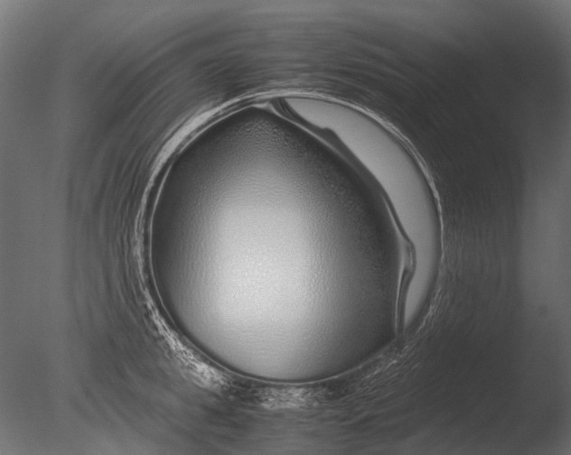 X0000085070949200703261228