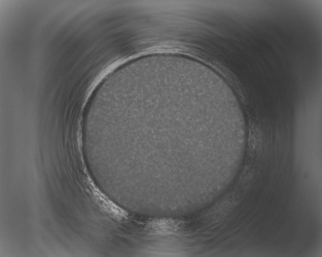 X0000085070950200703261228