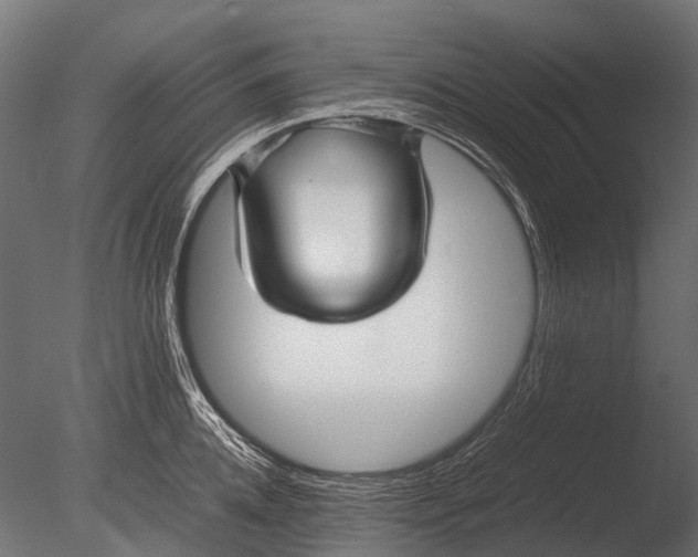 X0000085070952200703261228