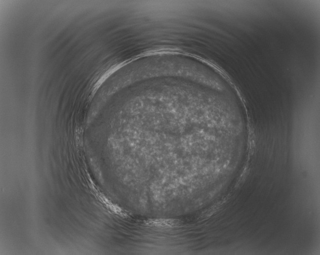 X0000085070953200703261228