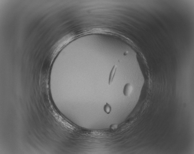 X0000085070954200703261228