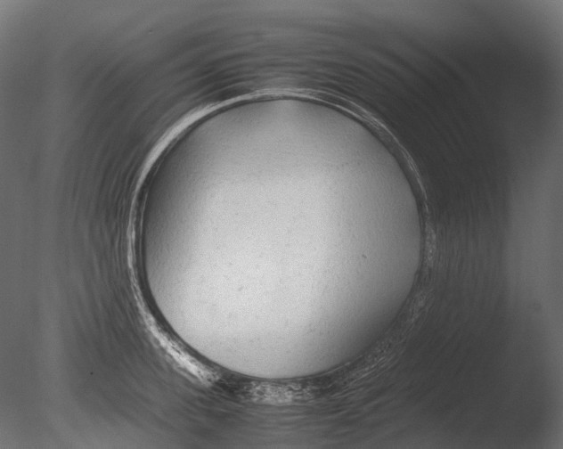 X0000085070955200703261228