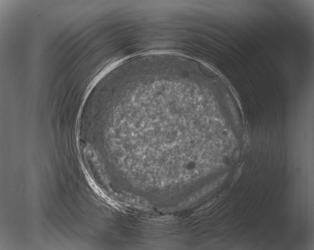 X0000085070957200703261228