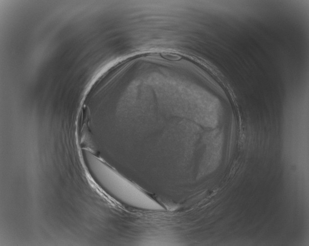 X0000085070958200703261228