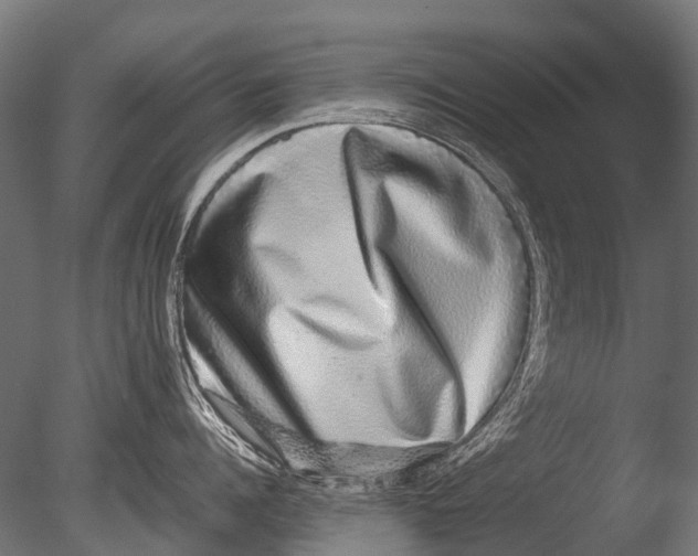 X0000085070960200703261228