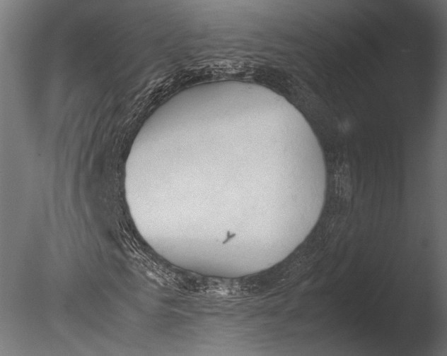 X0000085070961200703261227