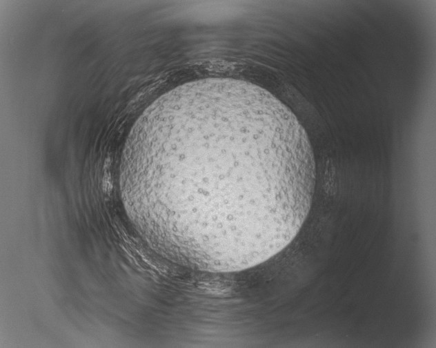 X0000085070962200703261227