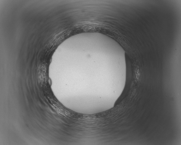 X0000085070964200703261227