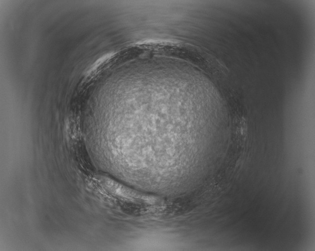 X0000085070965200703261227