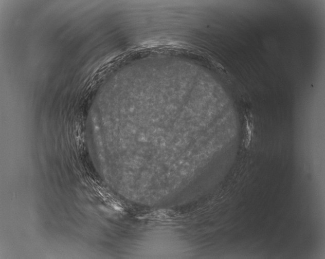 X0000085070966200703261227