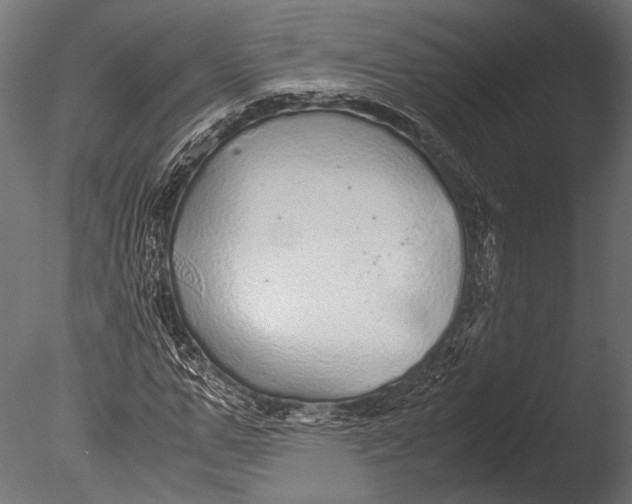 X0000085070967200703261227