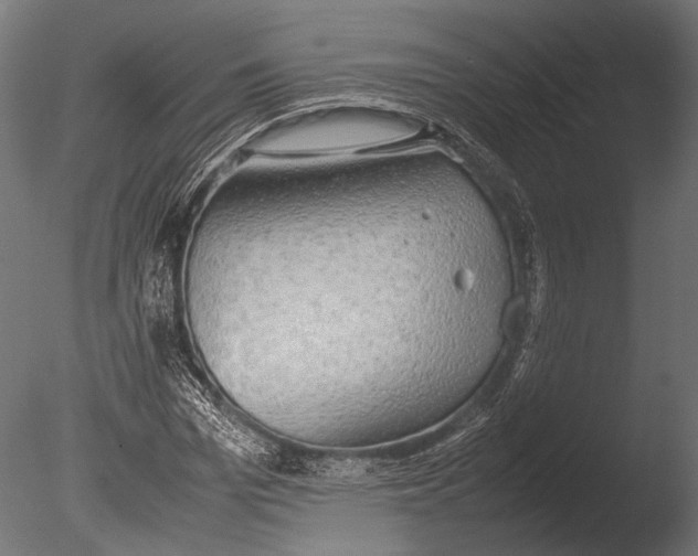 X0000085070969200703261227