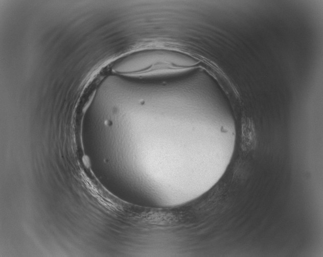 X0000085070972200703261227