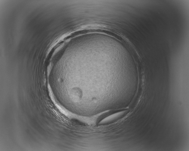 X0000085070973200703261227