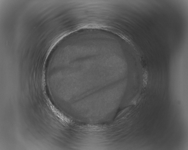 X0000085070976200703261227