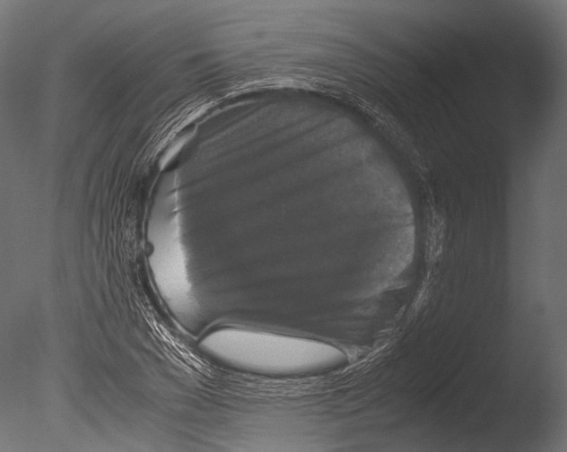 X0000085070977200703261227