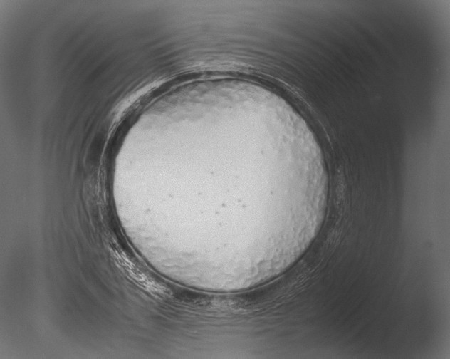 X0000085070979200703261227