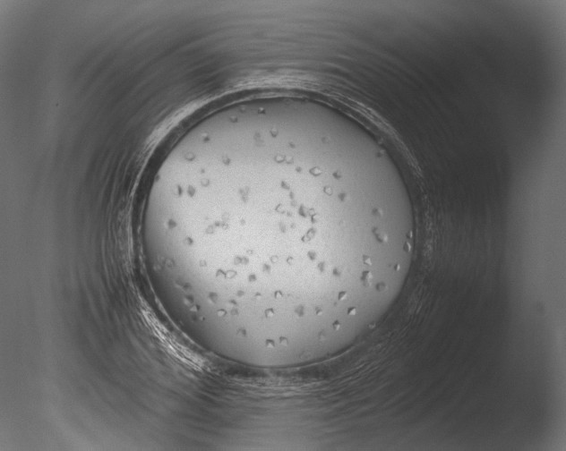 X0000085070980200703261227