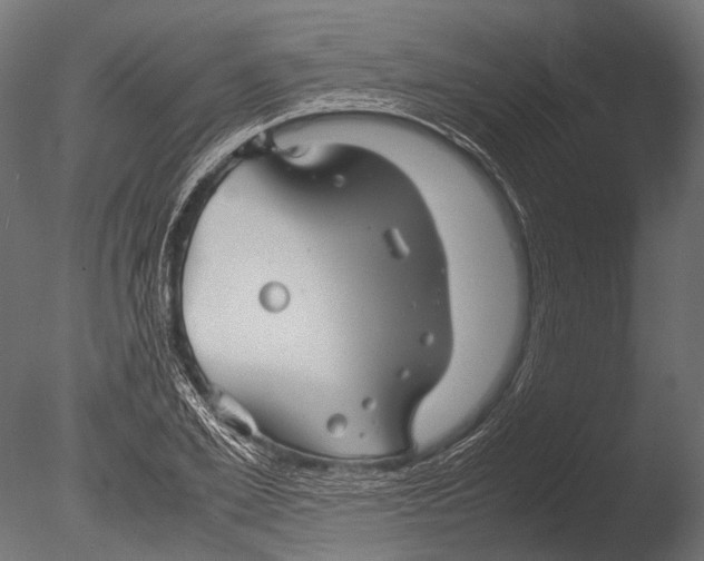 X0000085070981200703261227