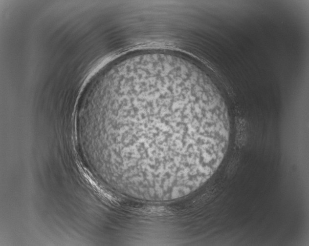 X0000085070982200703261227