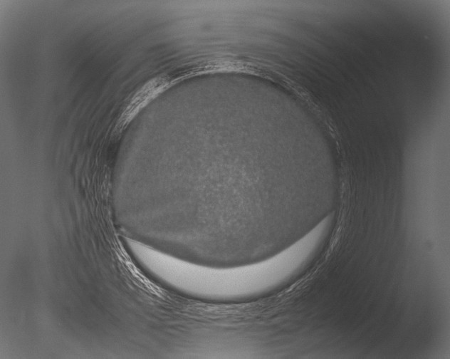 X0000085070985200703261227