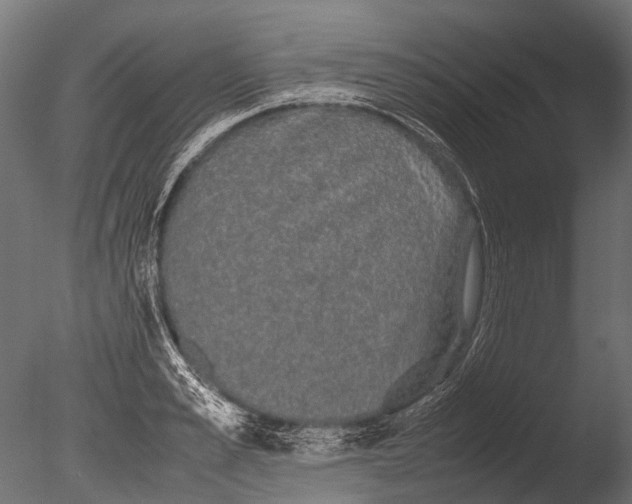 X0000085070989200703261227