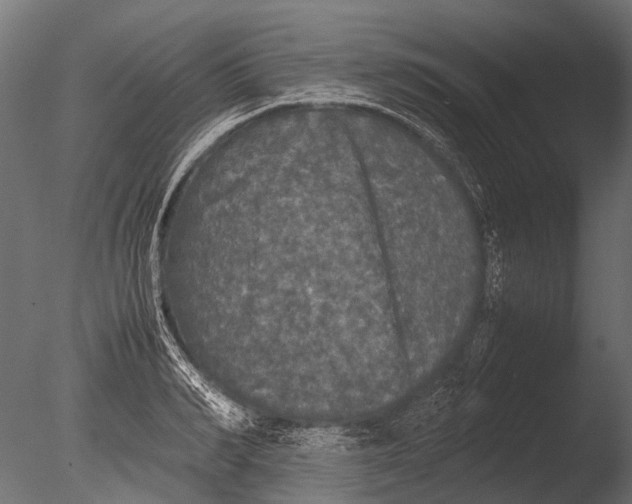 X0000085070990200703261227